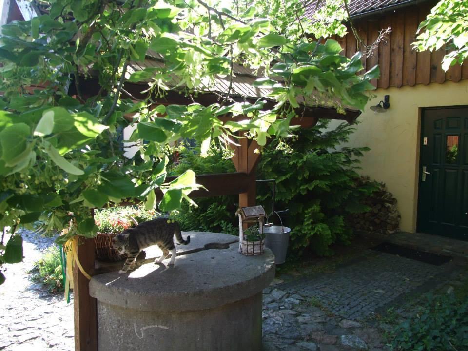Avalon Polchowo Kamien Pomorski Exterior foto
